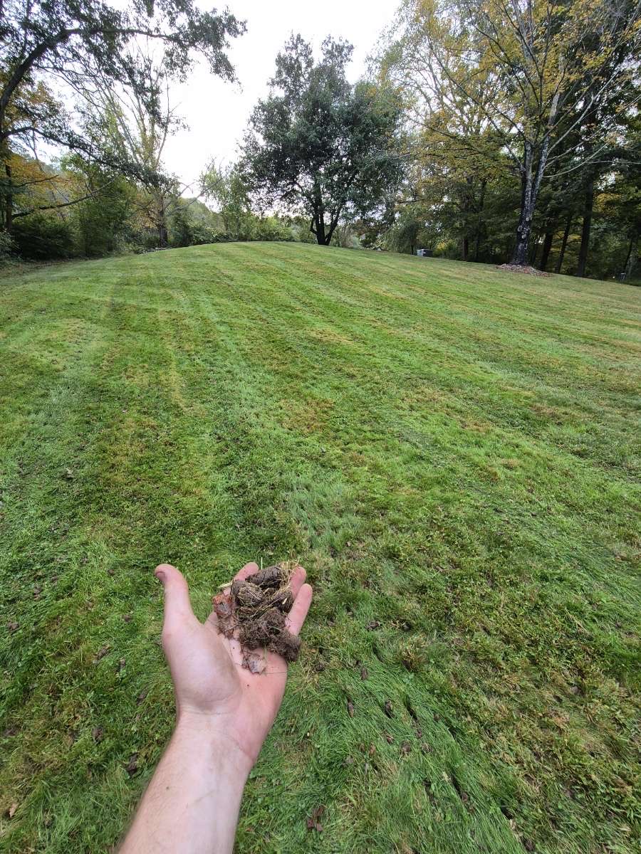 Lawn aeration and care