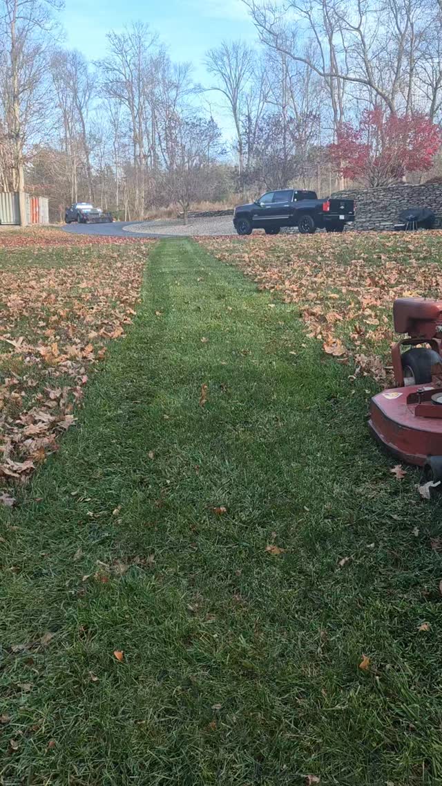 Fall lawn cleanup